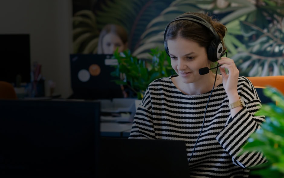 <p><strong>Career</strong></p>